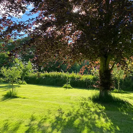 Trevadlock Manor Self Catering Cottages Launceston Exterior photo